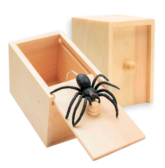 Caja de Madera con Araña
