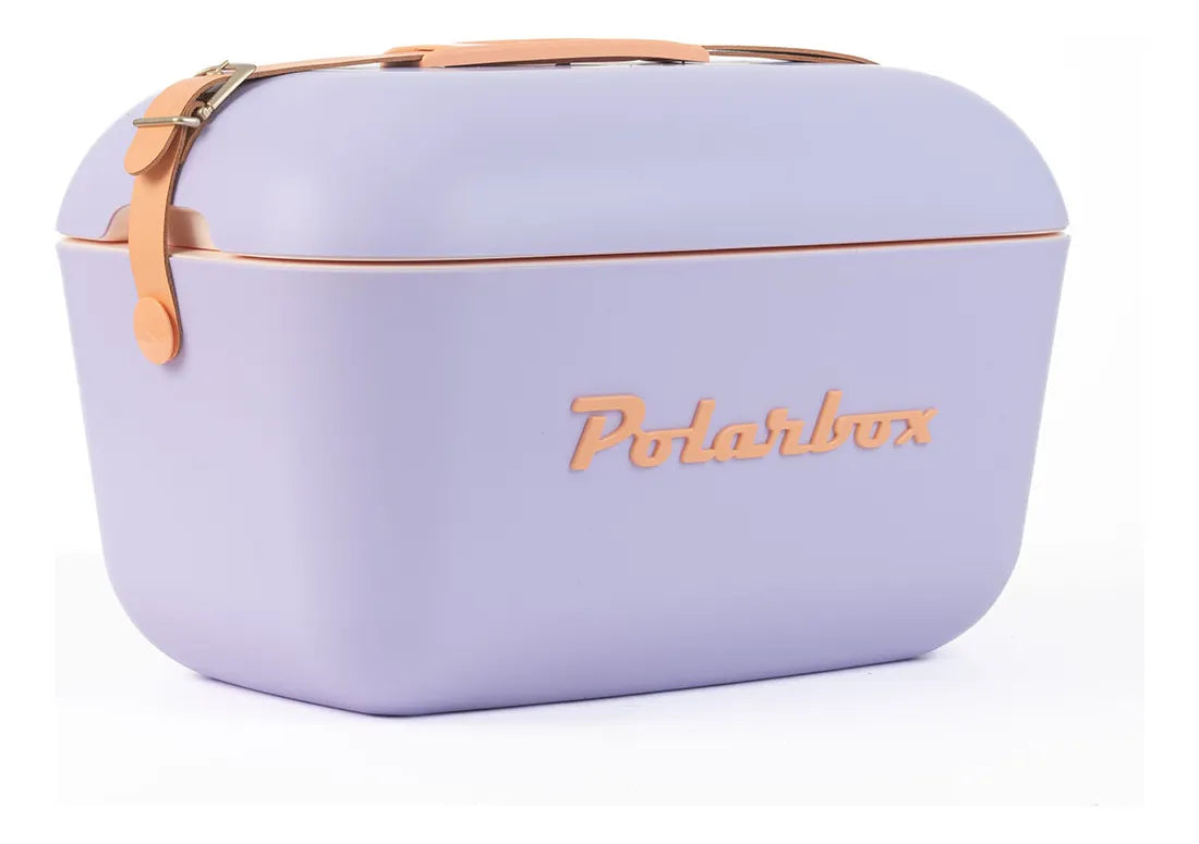 Heladera Conservadora Hielera Polarbox Retro Vintage 20L