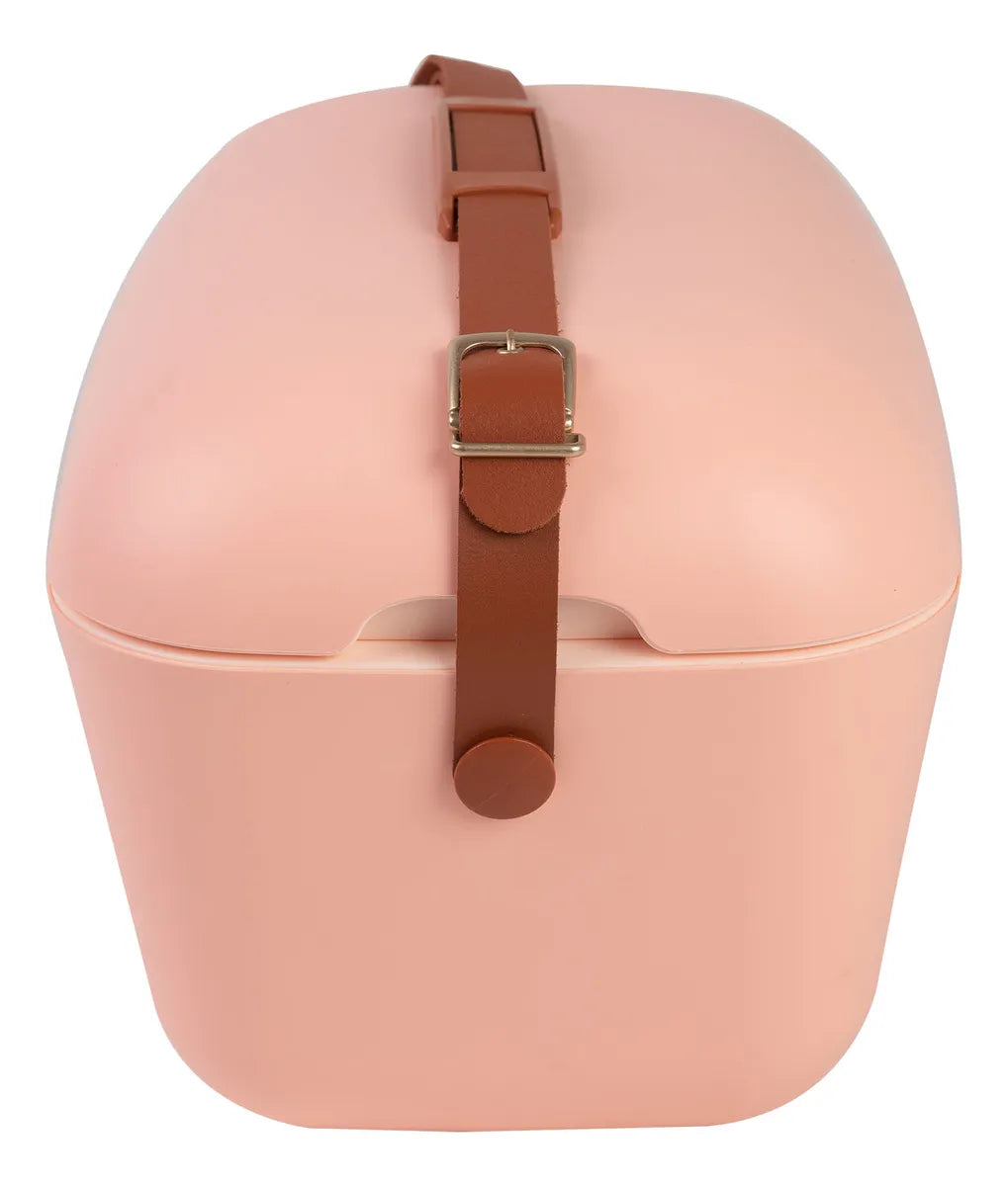 Heladera Conservadora Hielera Polarbox Retro Vintage 20L