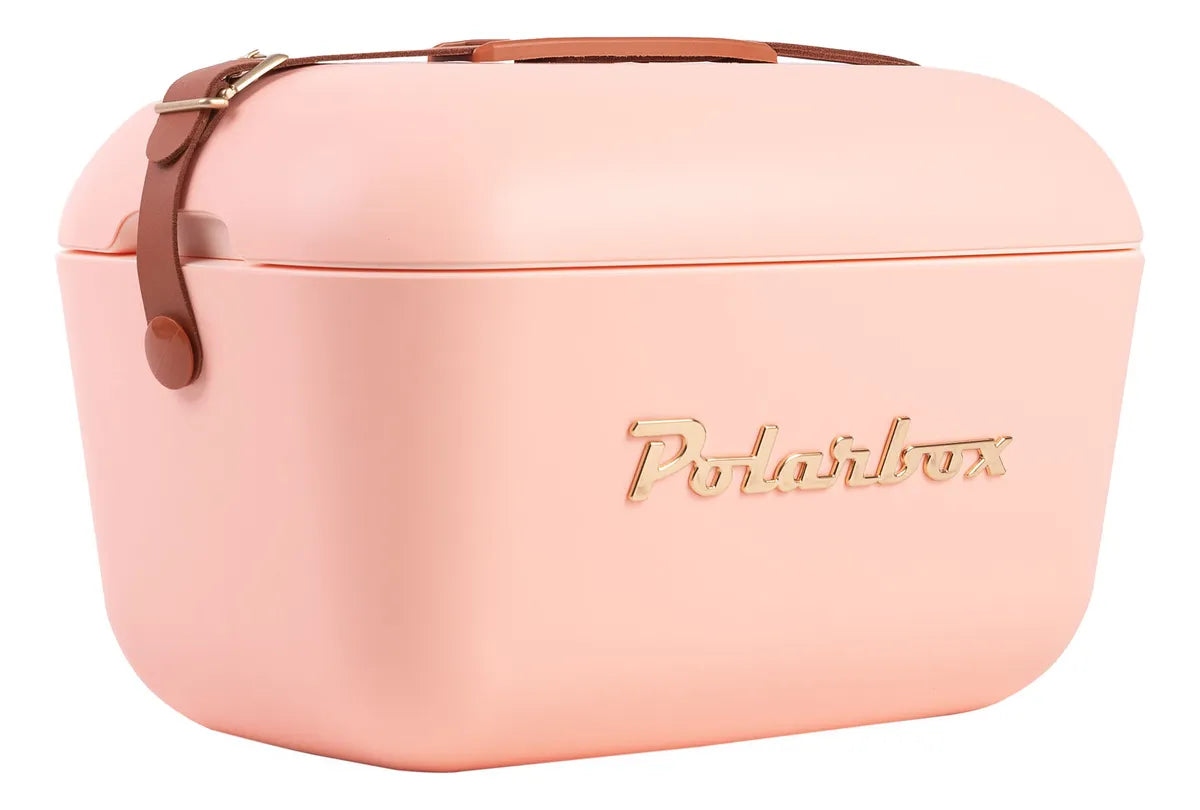 Heladera Conservadora Hielera Polarbox Retro Vintage 20L