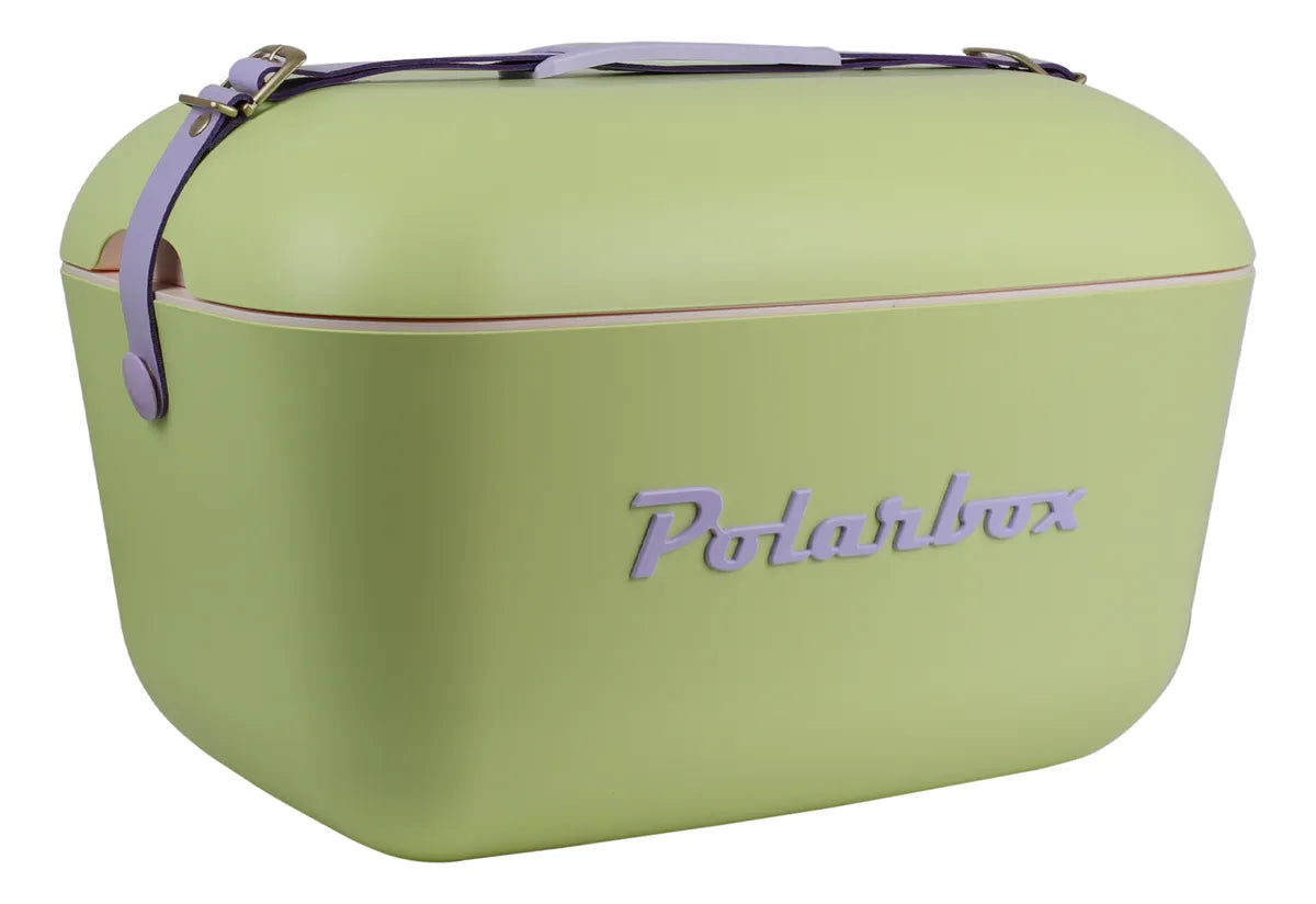 Heladera Conservadora Hielera Polarbox Retro Vintage 20L