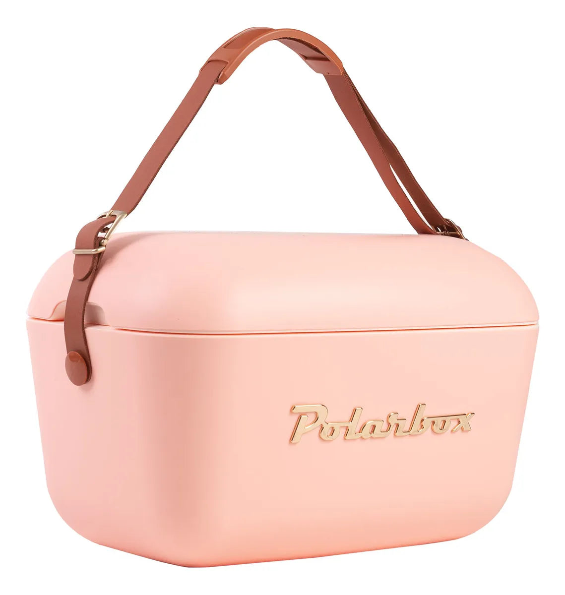 Heladera Conservadora Hielera Polarbox Retro Vintage 20L