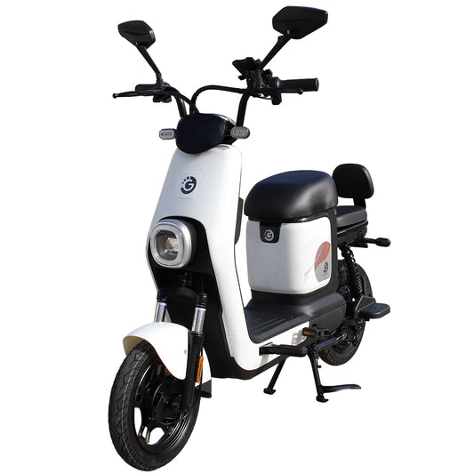 Moto Eléctrica Goldtech 1000w Velocidad Máxima 45km/h Doble Asiento