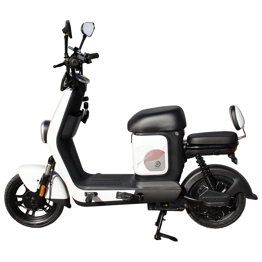 Moto Eléctrica Goldtech 1000w Velocidad Máxima 45km/h Doble Asiento